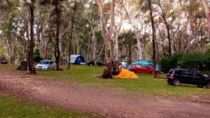 Camping Americano - Monte Hermoso - foto camping americano monte hermoso buenos aires argentina 136 22