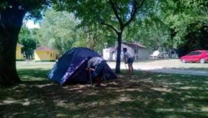 Camping Las Toninas - Las Toninas - foto camping autocamping las toninas las toninas buenos aires argentina 84 3