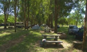 Camping Bahía de Los Lobos - Lobos - foto camping bahia de los lobos lobos buenos aires argentina 86 1