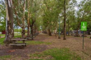 Camping Bahía de Los Lobos - Lobos - foto camping bahia de los lobos lobos buenos aires argentina 86 17