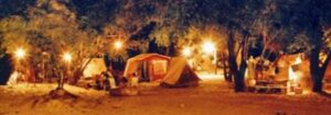 Camping Balneario Municipal Dr. Delio Panizza - Rosario del Tala - foto camping balneario municipal dr delio panizza rosario del tala entre rios argentina 788 2