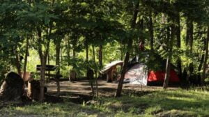 Camping Bella Vista - Bella Vista - foto camping bella vista bella vista san juan argentina 1392 1