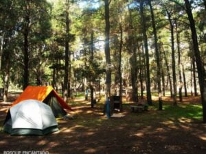 Foto de Camping Bosque Encantado - Pehuen Có