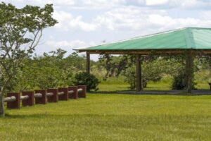 Camping Camba Cuá - Colonia Carlos Pellegrini - foto camping camba cua colonia carlos pellegrini corrientes argentina 2051 3