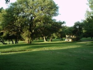 Foto de Camping Campo Lihuen - San Lorenzo