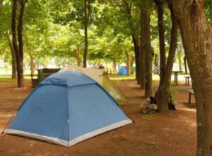 Camping Chapay - Junín - foto camping chapay junin buenos aires argentina 81 4