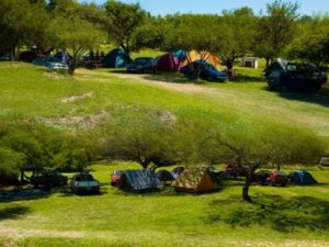 Camping Complejo El Ceibo - Victoria - foto camping complejo el ceibo victoria entre rios argentina 794 1