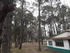 Camping Dimitri - San Bernardo - foto camping dimitri san bernardo buenos aires argentina 176 2