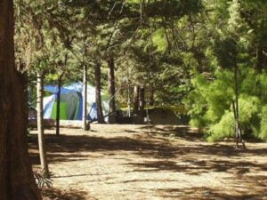 Camping Dunamar - Claromecó - foto camping dunamar claromeco buenos aires argentina 67 4