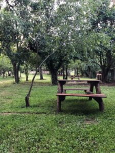 Camping El Bosque - Tanti - foto camping el bosque tanti cordoba argentina 615 1