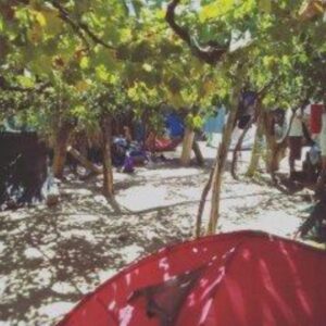 Camping El Rafa - Cafayate - foto camping el rafa cafayate salta argentina 2046 2