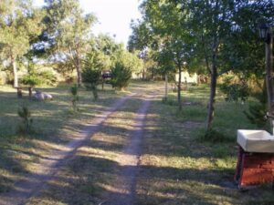 Camping El Rancho - Miramar - foto camping el rancho miramar buenos aires argentina 132 52