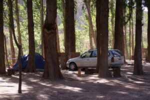 Camping El Sauce - San Rafael - foto camping el sauce san rafael mendoza argentina 965 1