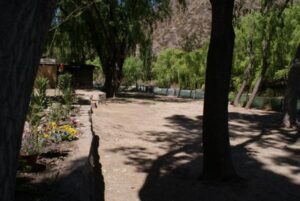 Camping El Sauce - San Rafael - foto camping el sauce san rafael mendoza argentina 965 4