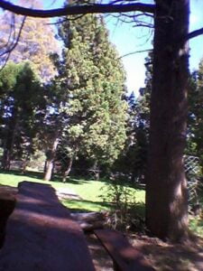 Camping El Yeti - Bariloche - foto camping el yeti bariloche rio negro argentina 1334 7