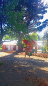 Camping Goye - Bariloche - foto camping goye bariloche rio negro argentina 1335 25