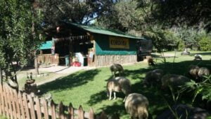 Camping La Florida - Villa General Belgrano - foto camping la florida villa general belgrano cordoba argentina 655 53