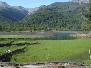 Camping Laguna Verde - Lago Curruhué - foto camping laguna verde lago curruhue neuquen argentina 1140 3