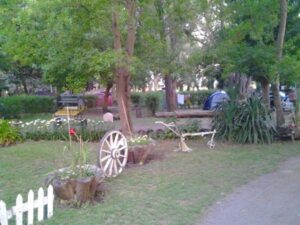 Camping Las Brusquitas - Miramar - foto camping las brusquitas miramar buenos aires argentina 133 11