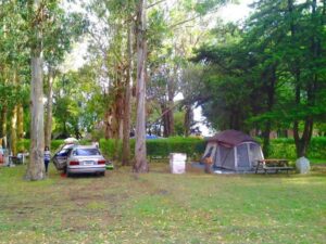 Camping Las Brusquitas - Miramar - foto camping las brusquitas miramar buenos aires argentina 133 6