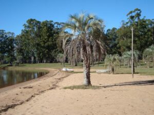 Foto de Camping Las Palmeras - Concordia