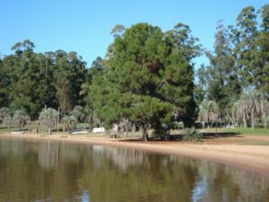 Camping Las Palmeras - Concordia - foto camping las palmeras concordia entre rios argentina 743 2