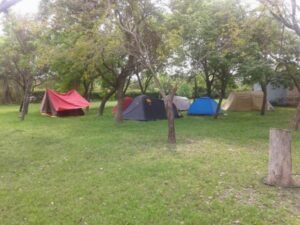 Camping Las Palmeras - Federación - foto camping las palmeras federacion entre rios argentina 754 2