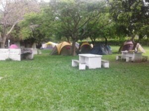 Camping Las Palmeras - Federación - foto camping las palmeras federacion entre rios argentina 754 4