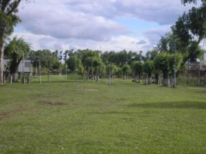 Camping Los Abuelos - Ibicuy - foto camping los abuelos ibicuy entre rios argentina 779 2