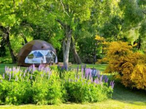 Camping Los Maitenes - Parque Nacional Los Alerces - foto camping los maitenes parque nacional los alerces chubut argentina 373 95