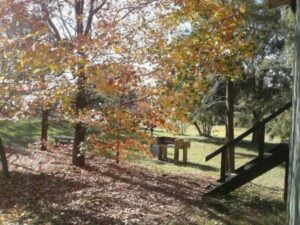 Camping Los Médanos - Colón - foto camping los medanos colon entre rios argentina 789 76