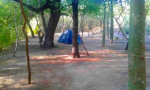 Camping Los Quebrachos - San Marcos Sierras - foto camping los quebrachos san marcos sierras cordoba argentina 583 3
