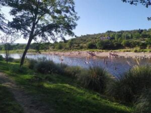 Camping Los Ríos - Mina Clavero - foto camping los rios mina clavero cordoba argentina 527 58