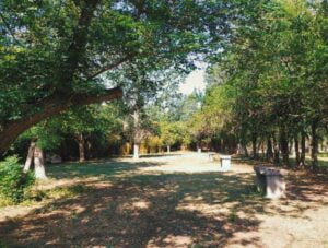 Camping Los Ríos - Mina Clavero - foto camping los rios mina clavero cordoba argentina 527 62