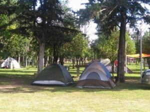 Camping Los Ríos - Mina Clavero - foto camping los rios mina clavero cordoba argentina 527 79