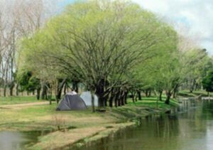 Camping Municipal Arroyo Gualicho - Las Flores - foto camping municipal arroyo gualicho las flores buenos aires argentina 82 2