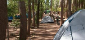Camping Municipal - Malargüe - foto camping municipal malargue mendoza argentina 936 2