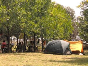 Camping Nicolás Levalle - Carhué - foto camping nicolas levalle carhue buenos aires argentina 55 1