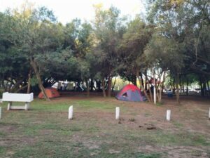 Camping Nuevo Costero Sur - Colón - foto camping nuevo costero sur colon entre rios argentina 2137 51