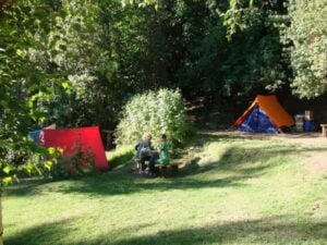 Foto de Camping OSA MAYOR - Villa La Angostura