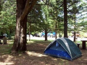 Camping Petunia - Bariloche - foto camping petunia bariloche rio negro argentina 1343 2