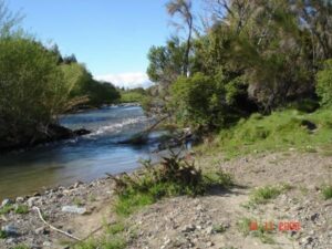 Camping Rahué - Parque Nacional Los Alerces - foto camping rahue parque nacional los alerces chubut argentina 1750 2