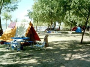 Camping Recreo Keidel - Zárate - foto camping recreo keidel zarate buenos aires argentina 257 2