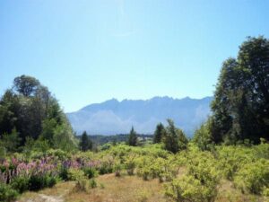 Camping Refugio Lago Puelo - Lago Puelo - foto camping refugio lago puelo lago puelo chubut argentina 1769 1