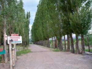 Camping Rincón de los Andes - Uspallata - foto camping rincon de los andes uspallata mendoza argentina 1865 3