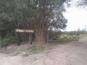 Camping Tierra Y Frutos - Ministro Rivadavia - foto camping tierra y frutos ministro rivadavia buenos aires argentina 2158 51