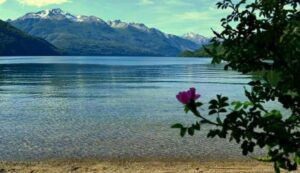 Camping Tres Bahías - Parque Nacional Los Alerces - foto camping tres bahias parque nacional los alerces chubut argentina 2077 2