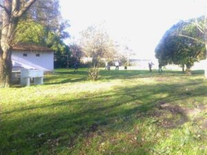 Camping Kelenkeskes - Ushuaia - foto camping villa paraiso mar del plata buenos aires argentina 2053 3