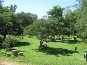 Camping Zona de Campamento - Parque Nacional Chaco - Parque Nacional Chaco1